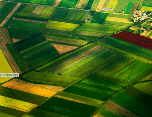 Dämme müssen aus Wurzeln bestehen, nicht aus Beton. Wir müssen das Land als Ganzes betrachten.