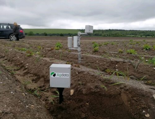 Euro: ROLNICY NA SUCHYM? ROLNIKÓW ZAGRAŻA BRAK OPADÓW I OBNIŻENIE DOTACJI