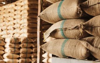 Dlaczego warto śledzić trendy w rolnictwie precyzyjnym