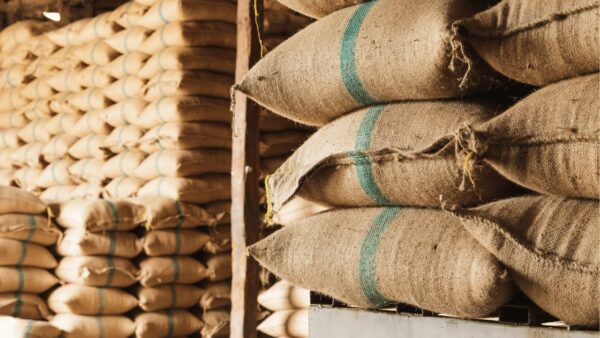 Proč sledovat trendy v precizním zemědělství