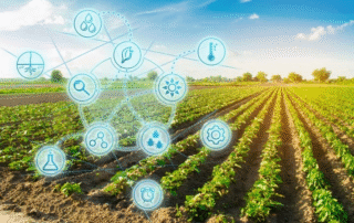 Czym jest rolnictwo precyzyjne