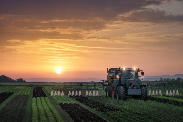 Zkušenosti s variabilním hnojením