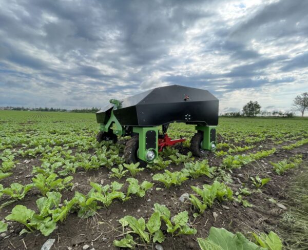 zdroj: www.irozhlas.cz