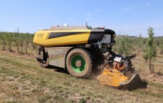 Roboty na farmie: przyszłość rolnictwa