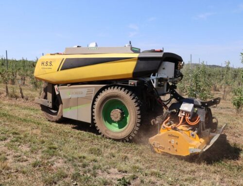 Jak roboty zmieniają rolnictwo: przegląd najnowszych trendów