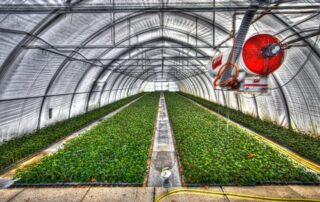 Inteligentne szklarnie: pełna automatyzacja w praktyce